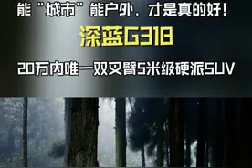 能“城市”能户外，才是真的好！深蓝G318，20万内唯一双叉臂5米级硬派SUV#深蓝G318 #20万方盒子车型怎么选视频封面