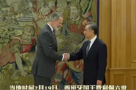 西班牙国王费利佩六世会见王毅，王毅：只要中欧加强团结协作阵营对立就搞不起来。（编辑：翟佳惠）视频封面