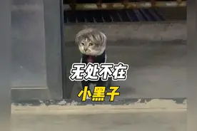 盘点无处不在的小黑子，这是一个比较久远的梗了#小黑子 #ikun