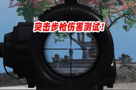 突击步枪伤害测试 #和平精英地铁逃生  #和平精英赞萌露比联动