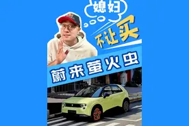 媳妇不让买蔚来萤火虫 怎么办 #蔚来萤火虫 #mini #dou是好车视频封面