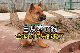 自从养了狗，全家的称呼都变了#狗狗趣事 #养狗人 #搞笑视频封面