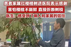 患者家属扛樱桃树进医院致谢，害怕樱桃不新鲜，直接折断树枝，医生：感受到了病人和家属的信任（来源：@向前看 ）视频封面
