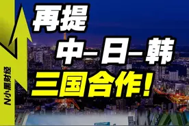再提中-日-韩 三国合作！ #经济学知识看世界 #掘金计划2025 #经济 #内容启发搜索视频封面
