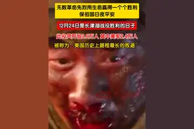 12月24日是长津湖战役胜利的日子，此役共歼敌3.6万人，其中美军2.4万人，被（时任）美国国务卿艾奇逊称为“美国历史上路程最长的败退”。无数革命先烈用生命赢得一个个胜利，保祖国日夜平安。视频封面