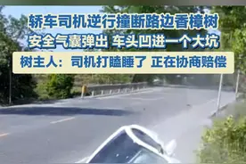 4月17日，四川眉山。轿车司机逆行撞断路边香樟树，安全气囊弹出，车头凹进一个大坑。树主人：司机打瞌睡了，正在协商赔偿。#事故现场 #监控下的一幕 #香樟树视频封面