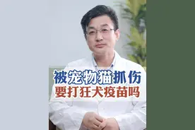 被家里养的猫抓伤了，要打狂犬疫苗吗？#医学科普 #健康科普 #dou来说健康  #宠物  #猫咪