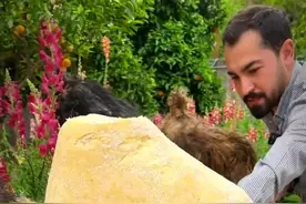 用山羊皮制作奶酪，表皮都是毛！#科普 #奶酪 #涨知识 #传统手艺