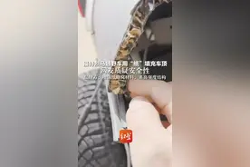 福特烈马越野车用“纸”填充车顶 网友质疑安全性 品牌方：增强纸蜂窝材料，系高强度结构视频封面