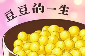 豆花、豆腐脑、豆腐有什么区别？70秒带你了解豆豆的一生 #抖音美食创作人 #涨知识 #南北差异 视频封面