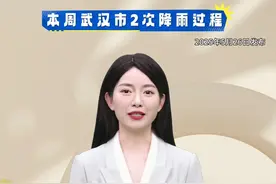 端午假期武汉市有明显降水过程#端午假期武汉视频封面