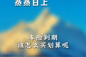 汽车保险到底应该怎么买才划算？ #汽车知识 #汽车知识分享 #保险知识 #汽车保险 #汽车保险怎么买视频封面