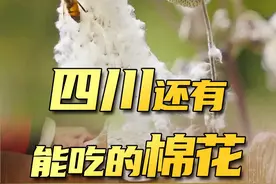 #四川 有种可以吃的#棉花 ！吃过的朋友来分享一下什么味道 #地方特色美食