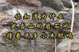 武当山随处可见的撑腰棍，你知道有什么寓意吗？