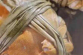 35岁女子怀孕3个月后馋嘴，连吃6只螃蟹致腹痛拉肚子流产