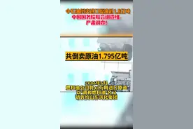 #中石油倒卖进口#原油近1.8亿吨，严肃#调查！#热点 视频封面