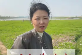 今天洞庭湖边5、6级大风，菜都吹翻了一盆。 春天是从舌尖开始的，我们吞食春天时，大地正穿透我们的身体，长出新的静脉，一口下野水芹下去，春天就来了。#水芹菜 #内容启发搜索 #老坛酒米视频封面