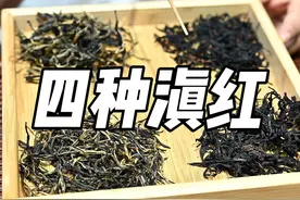 四种滇红视频封面