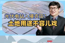 光伏电站入侵农田？郑风田：土地用途不容儿戏#三农智库 #民生 #光伏 #农田 #土地视频封面
