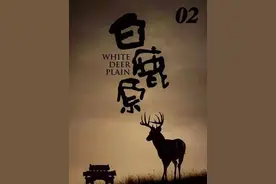 连娶了七个媳妇的男人，终于把婚姻修成了正果。#影视解说视频封面