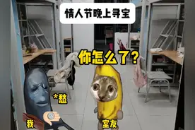 520情人节晚上寻宝 #猫meme #搞笑#内容过于真实#520#dou上热门视频封面