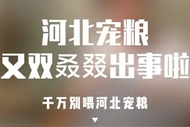 河北宠粮又出事了 #毒猫粮 #毒狗粮 #狗粮翻车 #养宠进阶指南视频封面