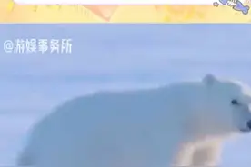 山西比北极还冷 这么冷的天可以不上班不上学吗T T #山西 #大同 #山西温度 #寒潮 #立春视频封面