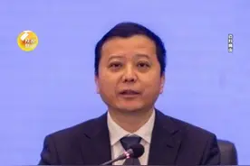 中央巡视组进驻期间，宁坚任上被查视频封面