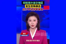 印控克什米尔地区发生恐怖袭击，至少26名游客遇难视频封面