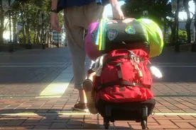 “红星照大地匹配成功” #银河奥特曼 #特摄剧 #奥特曼 #主题曲