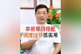 车前草巧搭配，调理结节很实用#车前草 #结节 #中医养生 #硬核健康科普行动