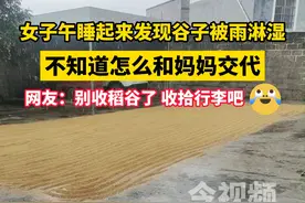 女子午睡起来发现谷子被雨淋湿，不知道怎么和妈妈交代，网友：别收稻谷了，收拾行李吧！#农忙时节 #晒稻谷 #雨天