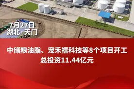 #天门 7月份重大项目开工活动举行视频封面