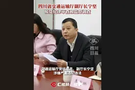 交通运输厅党组成员、副厅长宁坚，接受纪律审查和监察调查视频封面