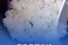男子用隔夜饭做炒饭吃完脏器衰竭 医生：淀粉类食物易产生蜡样芽孢杆菌 在126℃高温下加热90分钟才能去除 #隔夜饭 #米饭视频封面