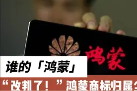 谁的“鸿蒙”？用了十年商标说没就没，最高院这样回应： 改判！视频封面