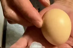 5月13日晚 ，北京昌平、怀柔、顺义、延庆、海淀、石景山、门头沟等局地，均已出现8级左右短时大风和冰雹。据网友拍摄照片视频及照片显示，部分地区冰雹大小有如鸡蛋一般，甚至更大。官方建议：减少户外活动，避免在树下、广告牌附近停留；驾车时降低车速，避开积水路段。（记者 李鹏毅 赵荆威）#北京冰雹 #北京冰雹大如鸡蛋视频封面