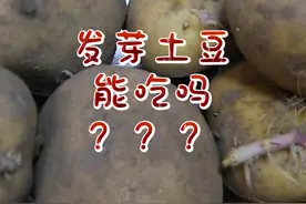 发芽的马铃薯还能吃吗？怎么吃？ #发芽土豆 #新农人计划2024视频封面