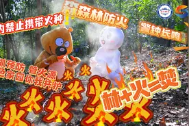 安全生产第三期森林防火#上海松江视频封面