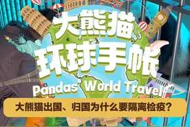 大熊猫环球手帐｜大熊猫出国、归国为什么要隔离检疫？ 大熊猫出国、归国为什么要隔离检疫？你们知道原因吗？让我来说给你们听吧！（来源：iPanda熊猫频道）视频封面