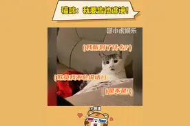 我天，它那个神情真的好委屈啊~ #猫咪表情包 #委屈巴巴 #猫：你什么意思