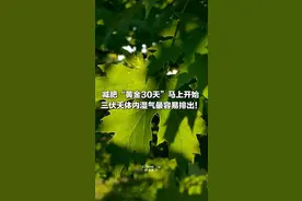 减肥“黄金30天”马上开始 ，三伏天体内湿气最容易排出！ #权威解读 #三伏天 #减肥小知识 #科普一下 #排湿气