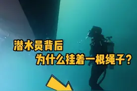 潜水员背后，为什么会挂着一根绳子呢？ #科普  #解压  #潜水员  #潜水脐带  #冷知识视频封面