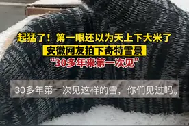 2月1日，安徽，起猛了！第一眼还以为天上下大米了！ 安徽网友拍下奇特雪景，称30年多来第一次见 #奇观异象 #涨知识 #神奇的大自然 #你的城市下雪了吗视频封面