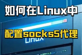 如何在Linux中配置socks5代理？视频封面