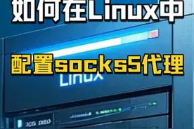 如何在Linux中配置socks5代理？视频封面