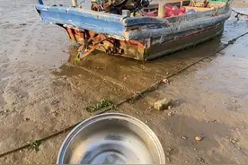 海边人的海底捞自助火锅，想吃海鲜随便抓，一会儿就是一锅 #赶海 #新农人计划2024视频封面