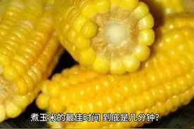 煮玉米的最佳时间，到底是几分钟？10人做9人错，难怪玉米不香视频封面