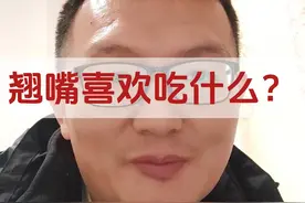翘嘴喜欢吃什么？ 翘嘴喜欢吃什么？不吃餐条，却吃小龙虾，想不到吧
直接上论文
翘嘴的食物组成
#钓鱼 #路亚 #论文说钓鱼 #钓鱼人 #内容启发搜索视频封面