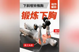 下斜哑铃推胸：针对下胸肌的锻炼方法，打造完美胸肌的奥秘与技巧视频封面